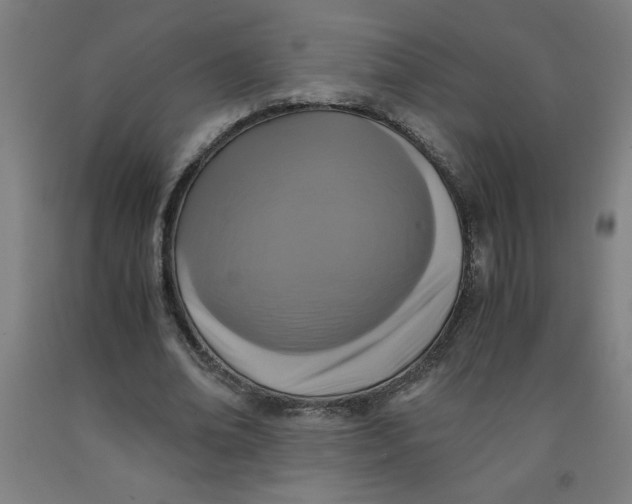 X0000091880678200709261352