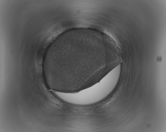 X0000091880681200709261351