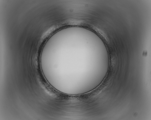 X0000091880682200709261351