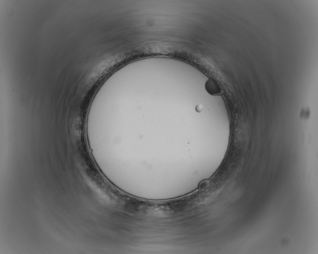 X0000091880683200709261351