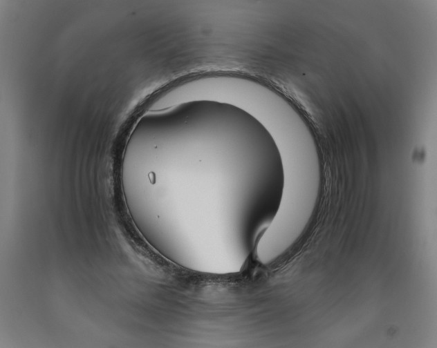 X0000091880684200709261351