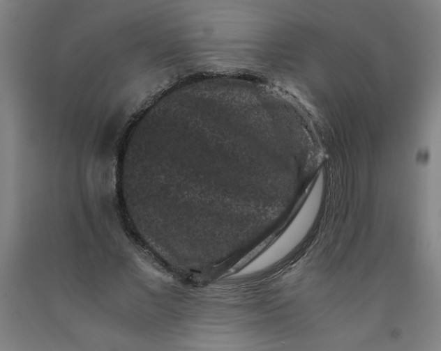 X0000091880685200709261351