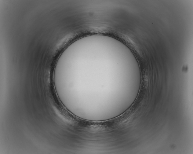 X0000091880686200709261351