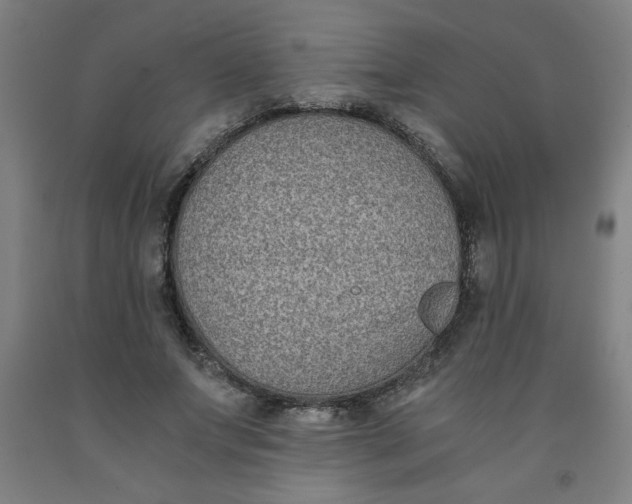 X0000091880687200709261351