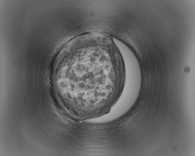 X0000091880688200709261351