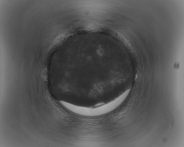 X0000091880689200709261351