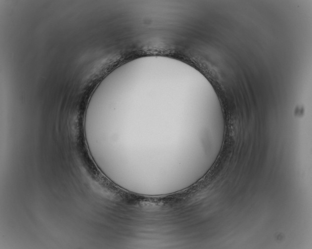 X0000091880690200709261351