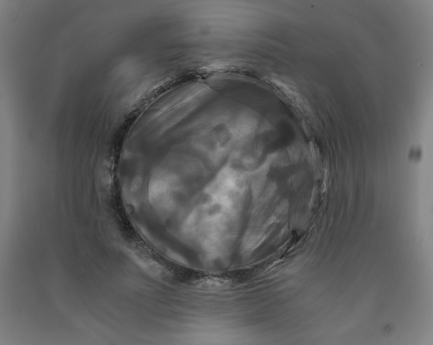 X0000091880691200709261351