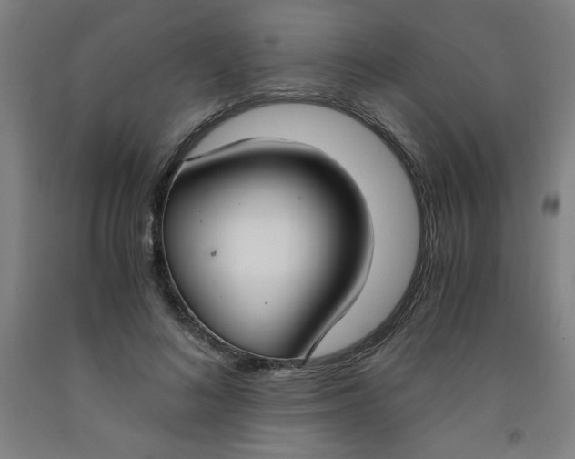 X0000091880692200709261351