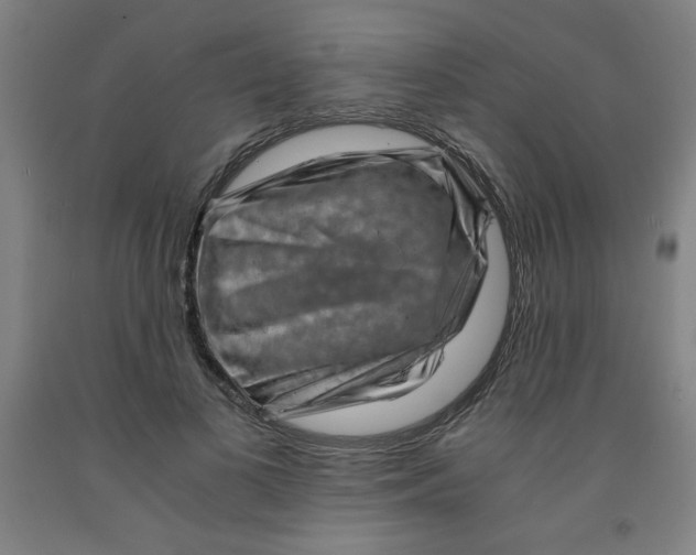 X0000091880693200709261351