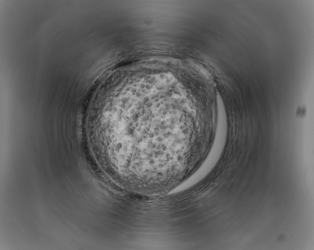 X0000091880696200709261351