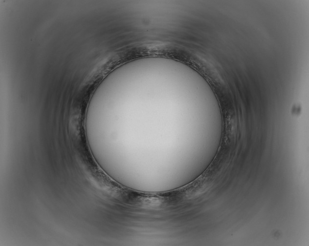 X0000091880698200709261351