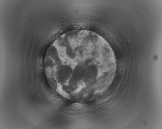 X0000091880699200709261351