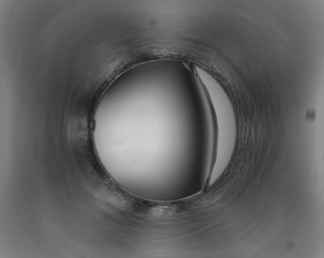 X0000091880700200709261351