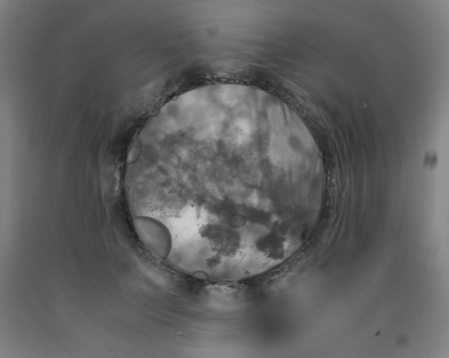 X0000091880703200709261351