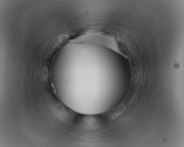 X0000091880704200709261351