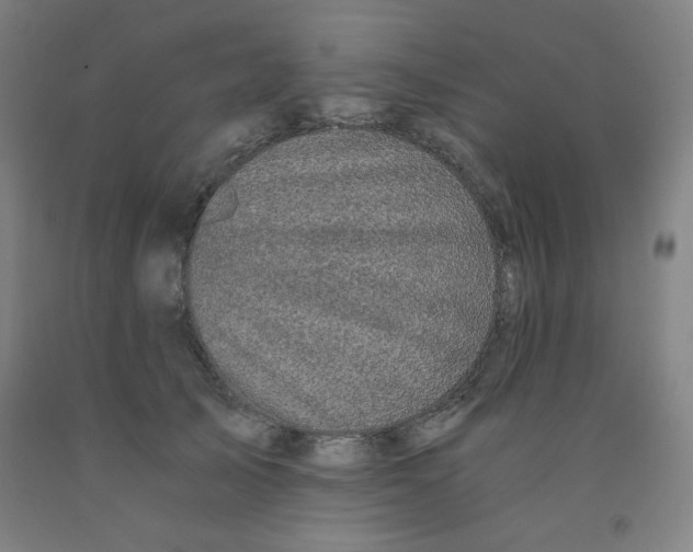 X0000091880705200709261351