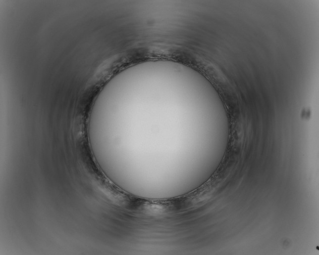 X0000091880706200709261351