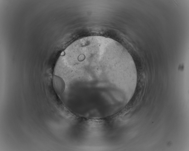 X0000091880707200709261351