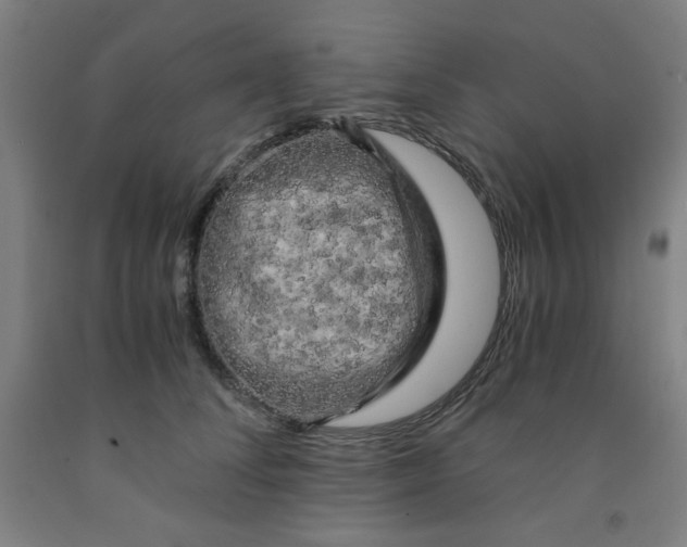 X0000091880708200709261351