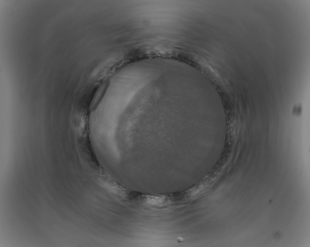 X0000091880709200709261351