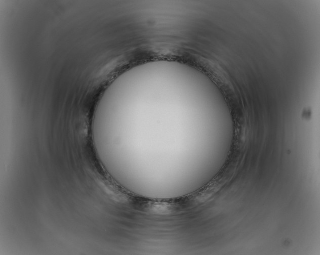 X0000091880710200709261351