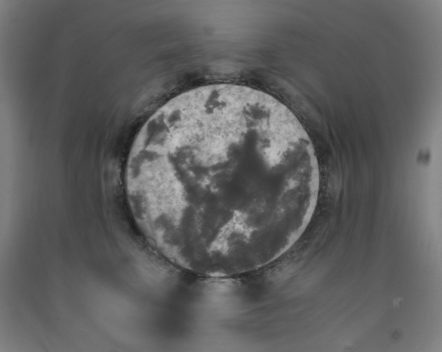 X0000091880711200709261351