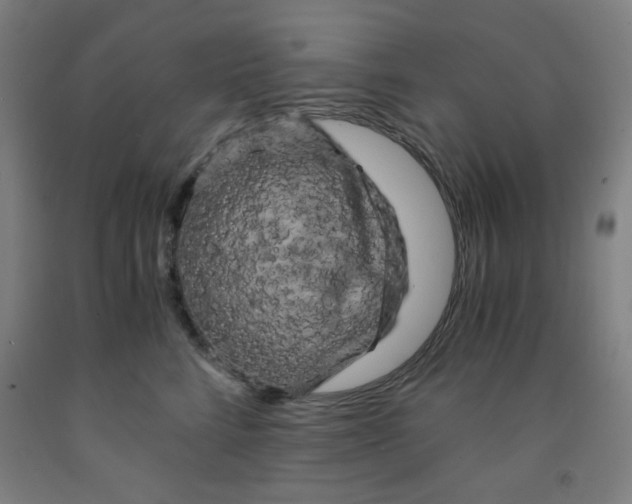 X0000091880712200709261351