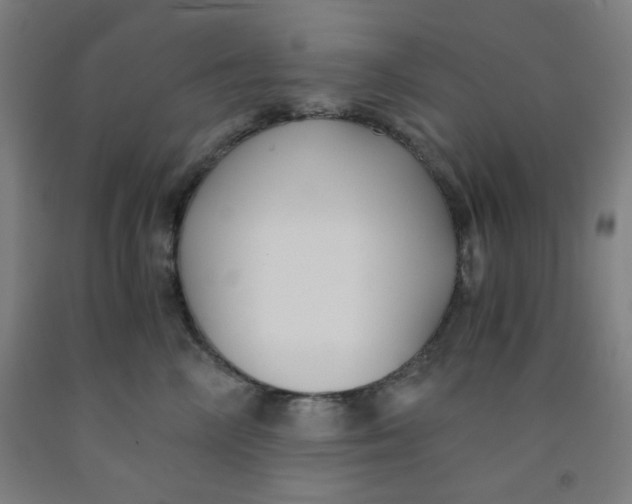 X0000091880714200709261351