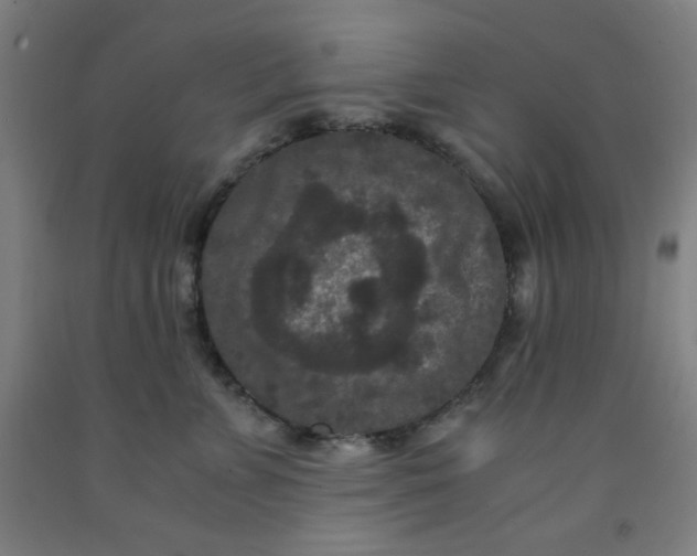 X0000091880715200709261351