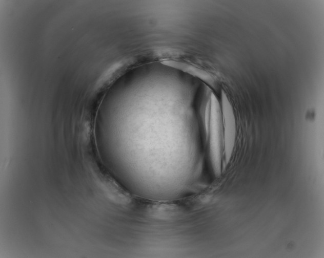 X0000091880716200709261351