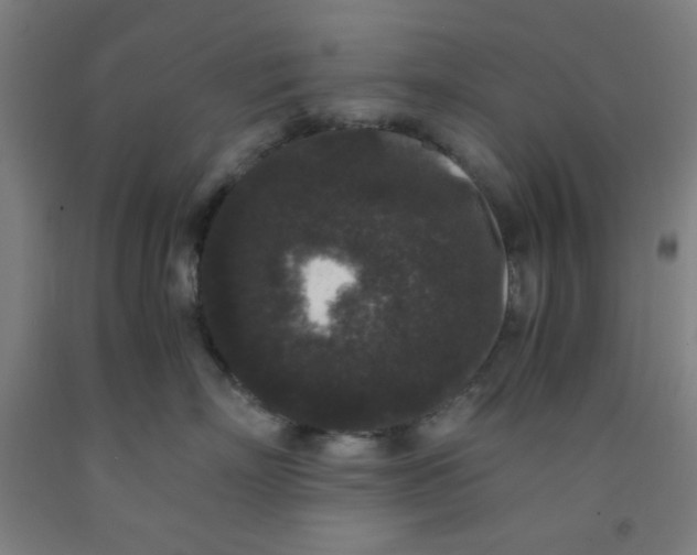 X0000091880718200709261351