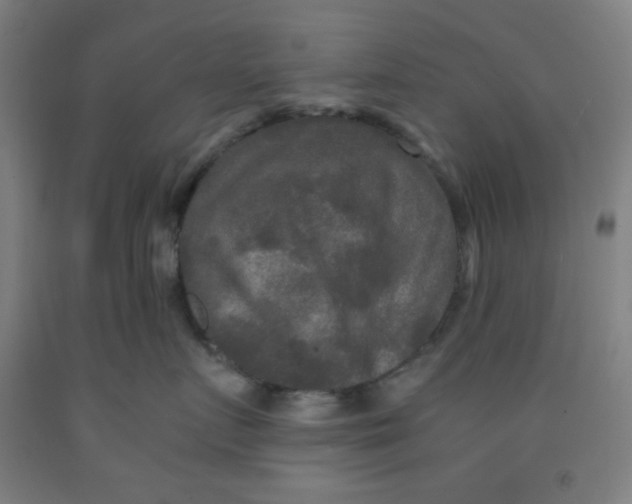 X0000091880719200709261351