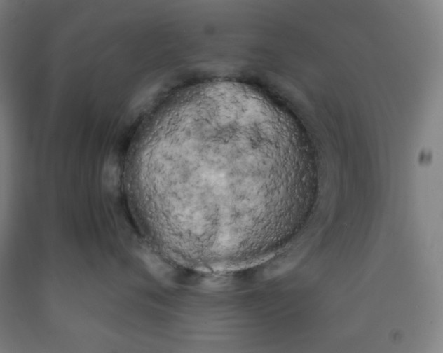 X0000091880720200709261351