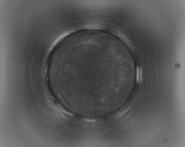 X0000091880723200709261350