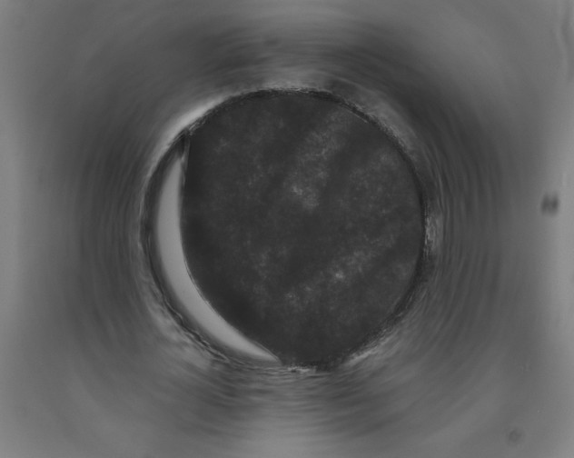 X0000091880724200709261350