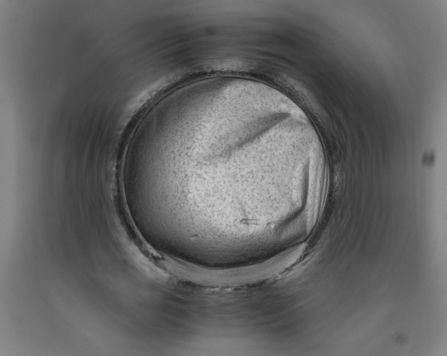 X0000091880725200709261350