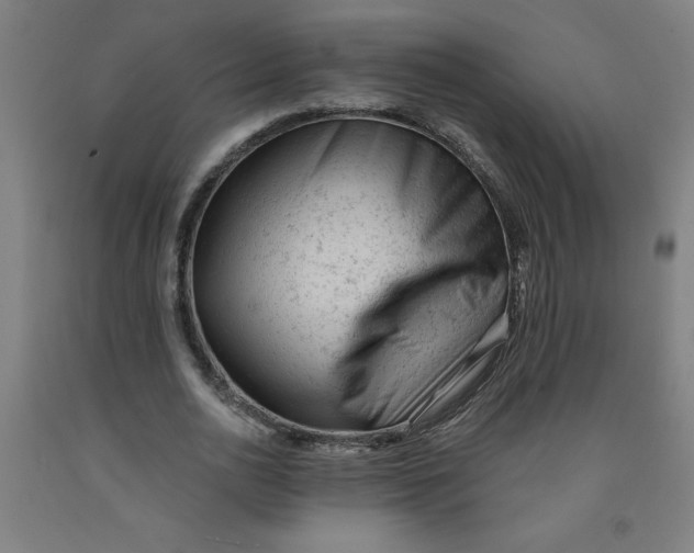 X0000091880726200709261350