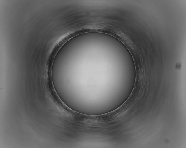 X0000091880727200709261350