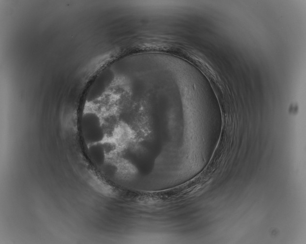 X0000091880729200709261351