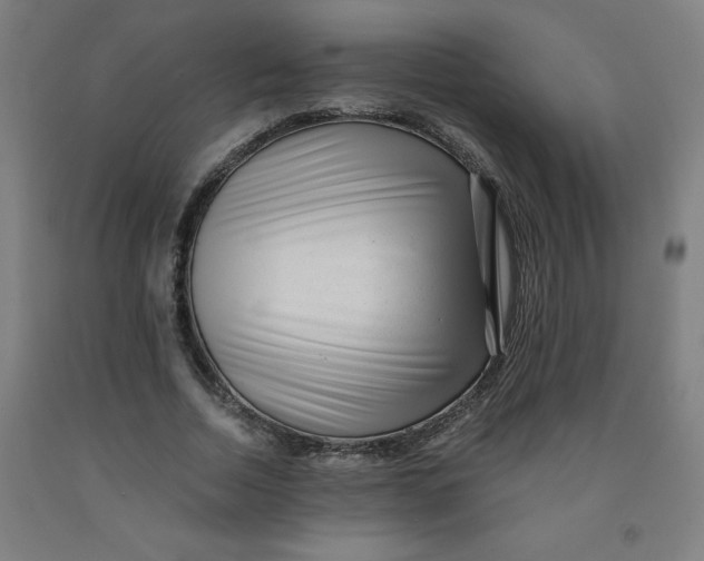 X0000091880730200709261351