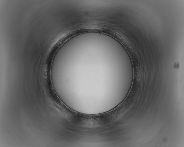 X0000091880731200709261351