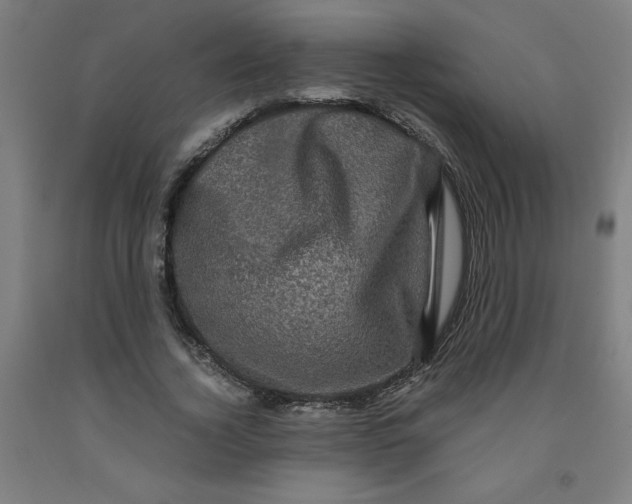 X0000091880732200709261351