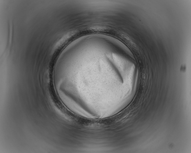 X0000091880734200709261351