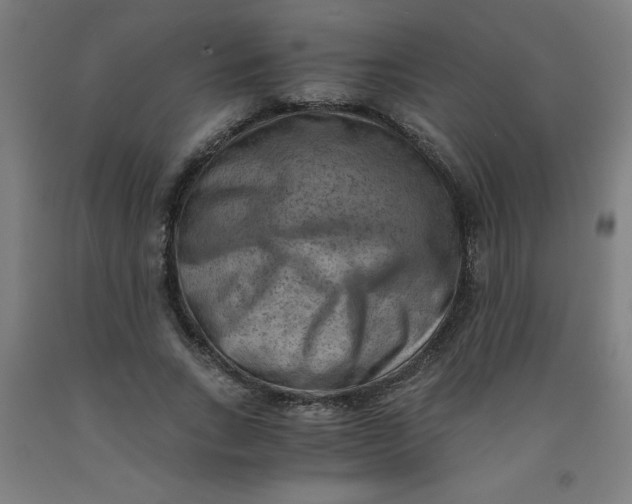 X0000091880735200709261351