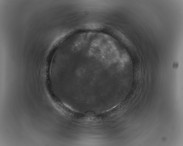 X0000091880736200709261351