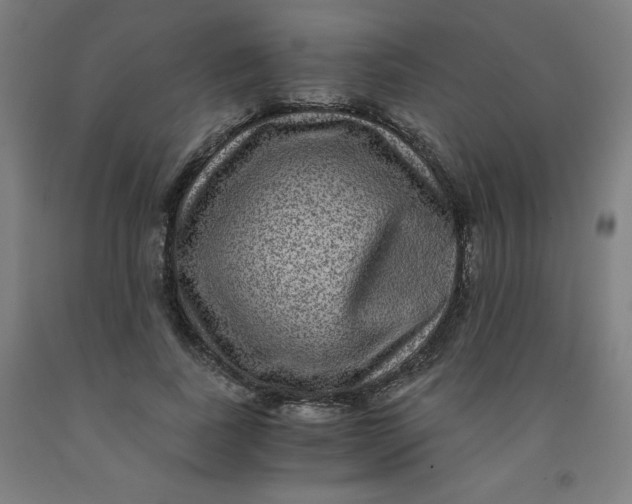 X0000091880739200709261351