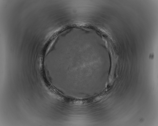 X0000091880740200709261351