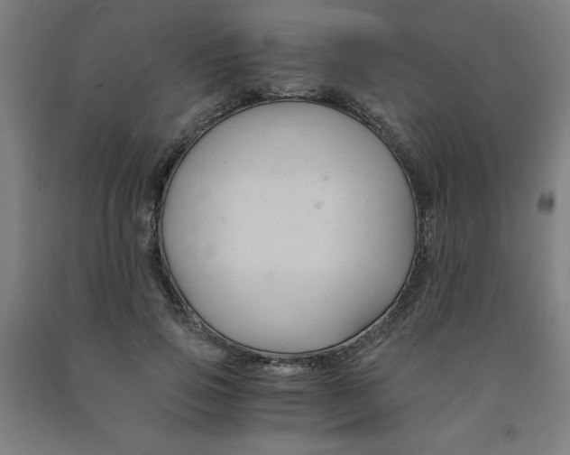 X0000091880741200709261351