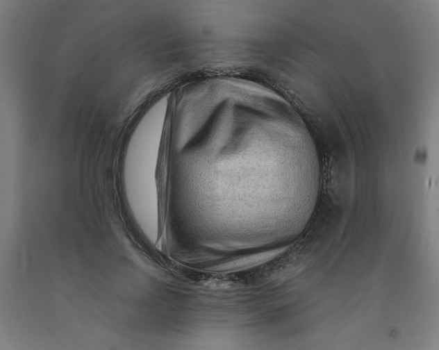 X0000091880742200709261351